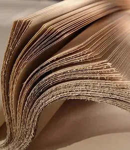 Celulosa y papel